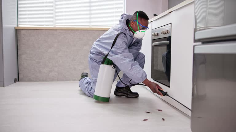 Best Residential Pest Control  in West Fork, AR